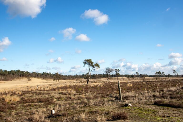 De mooiste regio’s om met je gravelfiets te verkennen