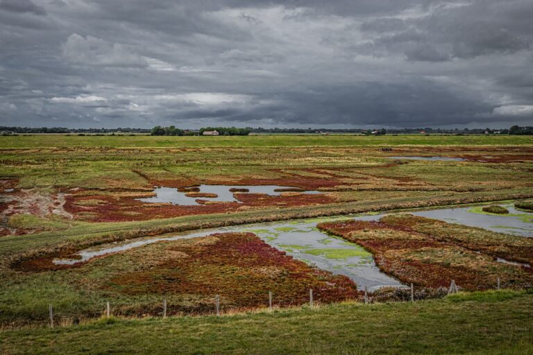 Gravelfietsen in Zeeland