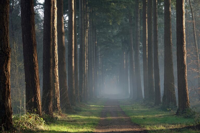 In 6 maanden in vorm voor een lange gravel marathon?